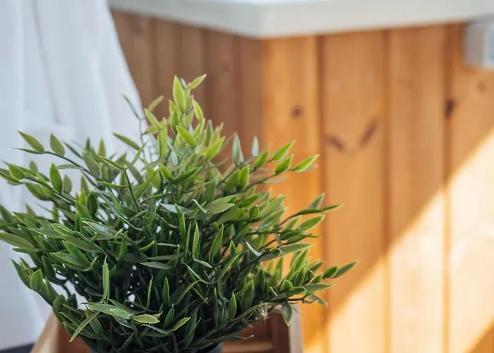 Gavas Jacuzzi Relax Zen