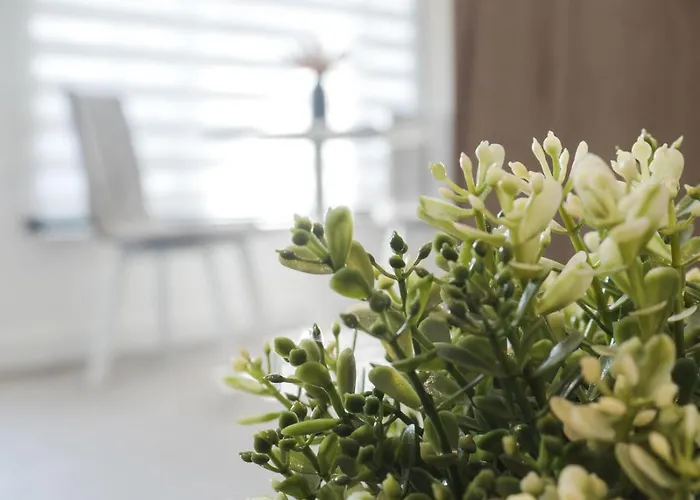 Apartmán Gavas Jacuzzi Relax Zen Kluž